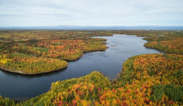best edibles canada New Brunswick