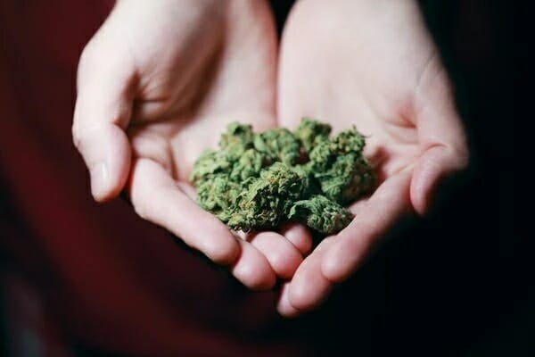 Best edibles in Ontario Canada