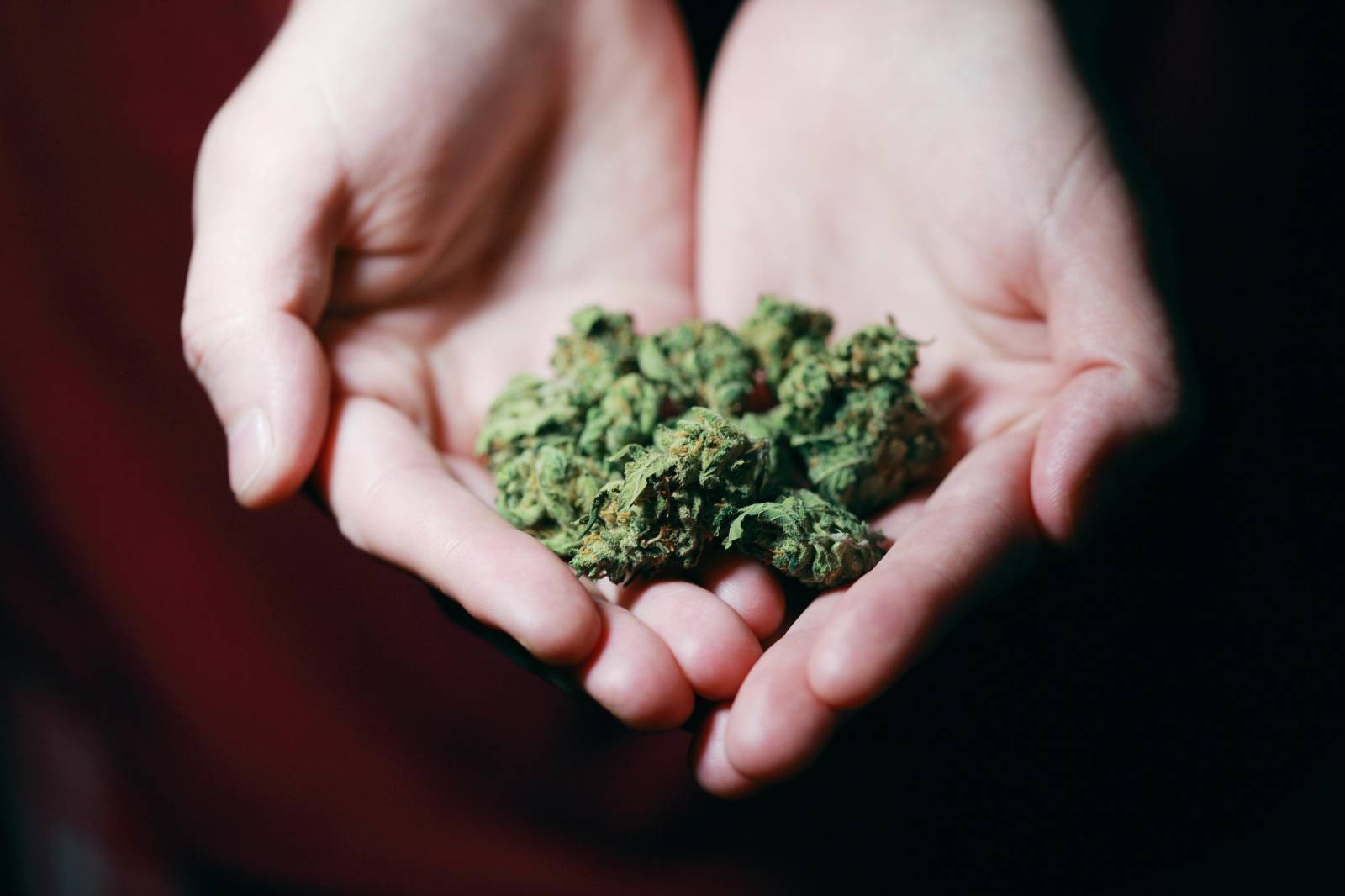 Buy edibles Online Canada