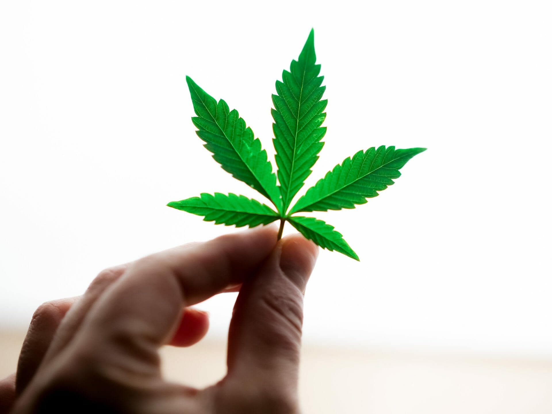 Buy edibles Online in Canada