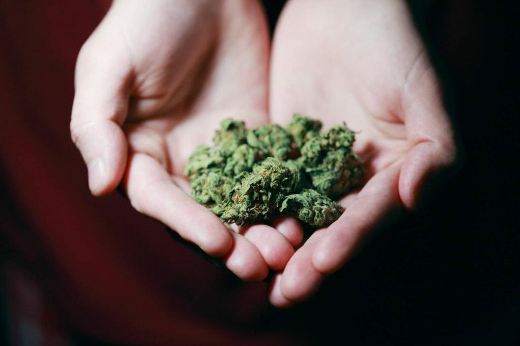 Best edibles Strains in Ontario 