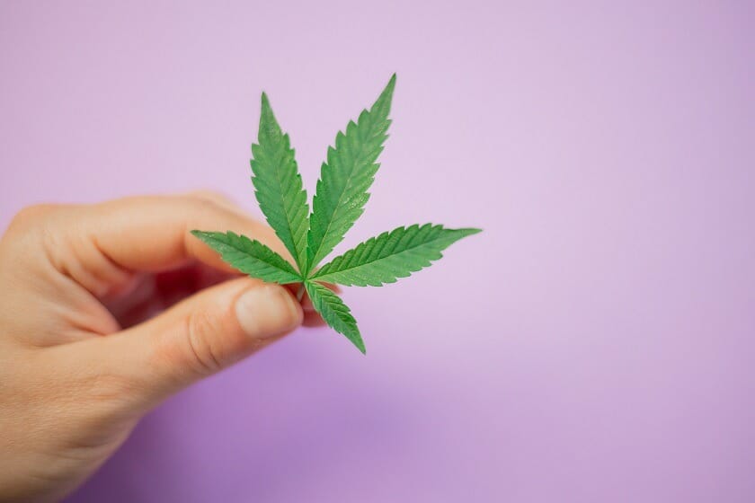 Grasslife - edibles Canada